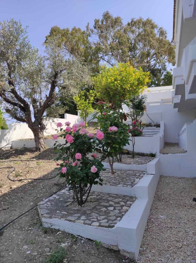 Arocaria - Faliraki Peaceful Apartments Екстер'єр фото