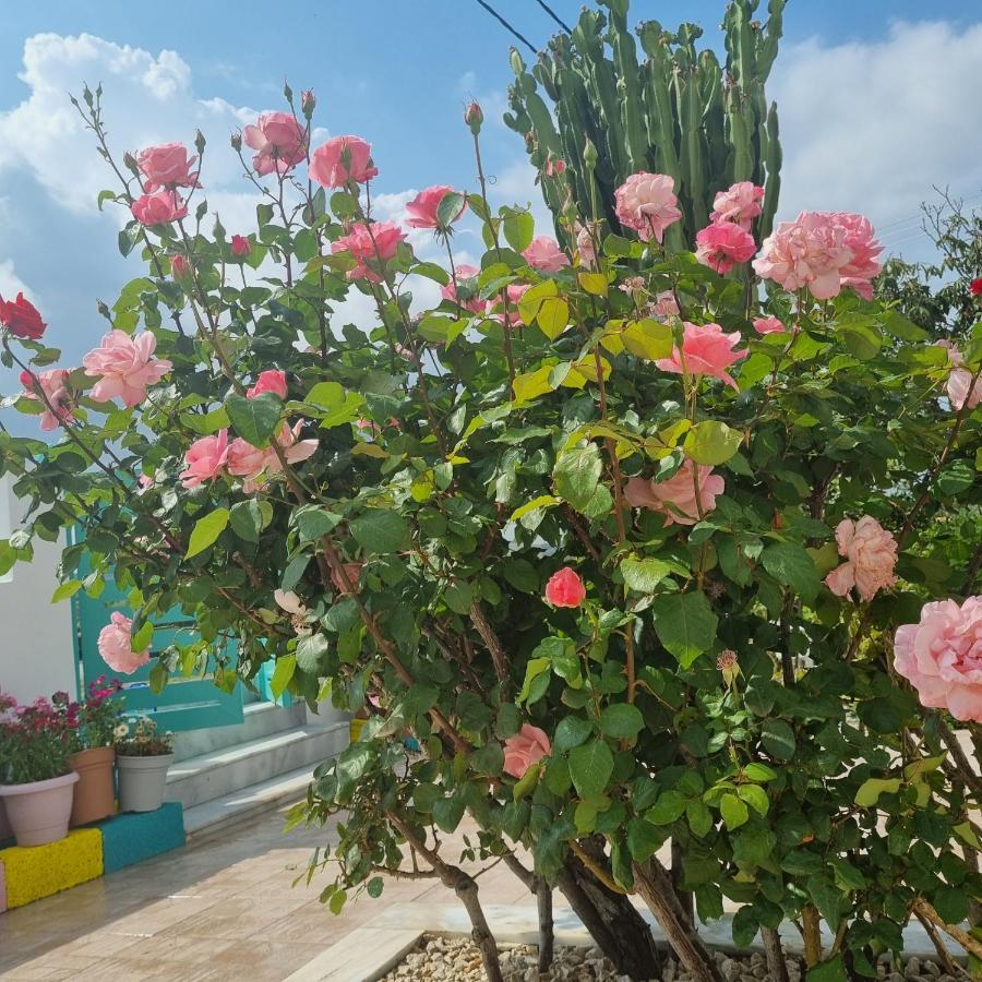 Arocaria - Faliraki Peaceful Apartments Екстер'єр фото